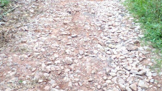 thakarnna-road thakarnna-road