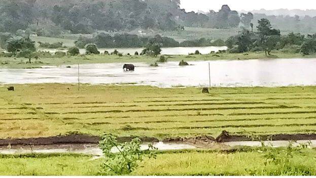 kolavally kolavally