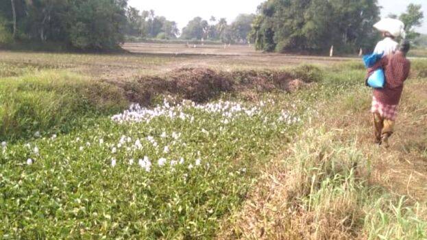 payal-niranjnja-thod payal-niranjnja-thod