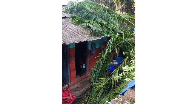 ezattumaaam ezattumaaam