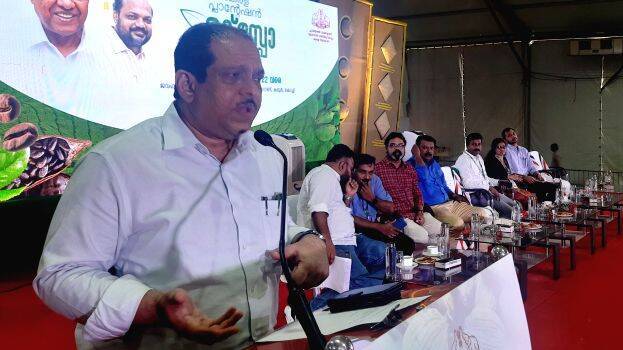 plantation plantation