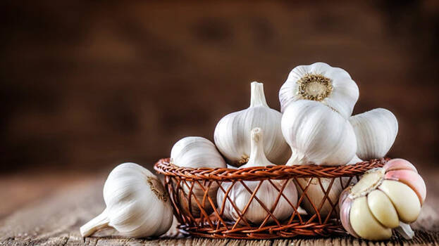 garlic garlic