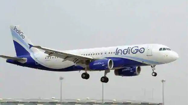 indigo-airlines indigo-airlines