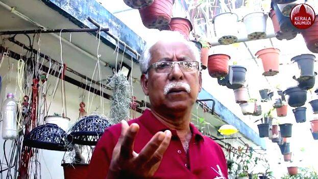 bonsayi-plantation bonsayi-plantation