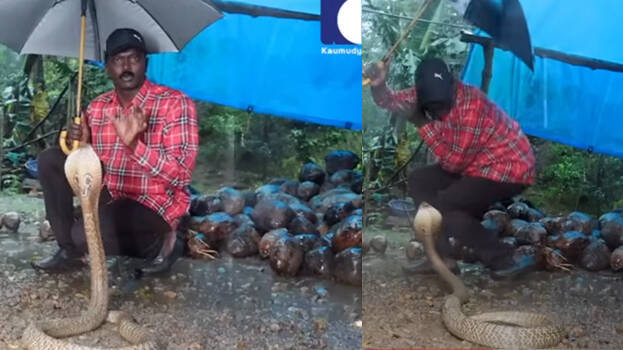 vava-suresh vava-suresh