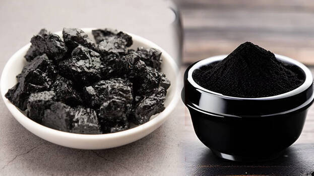 shilajit shilajit