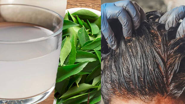 curryleaves curryleaves