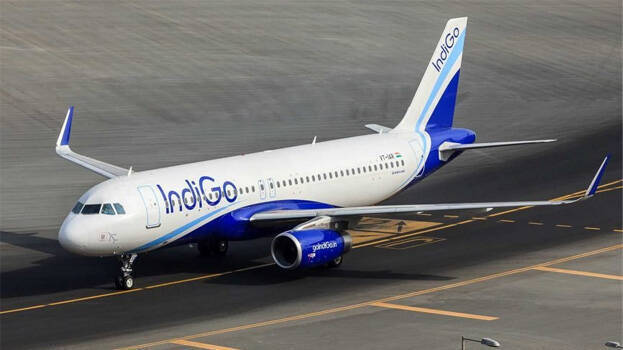 indigo-airlines indigo-airlines