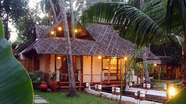 coconut-tree coconut-tree