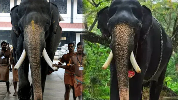 kannan