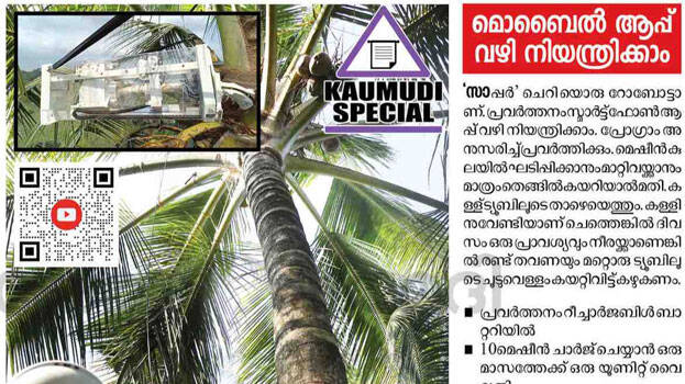 coconut-tree coconut-tree