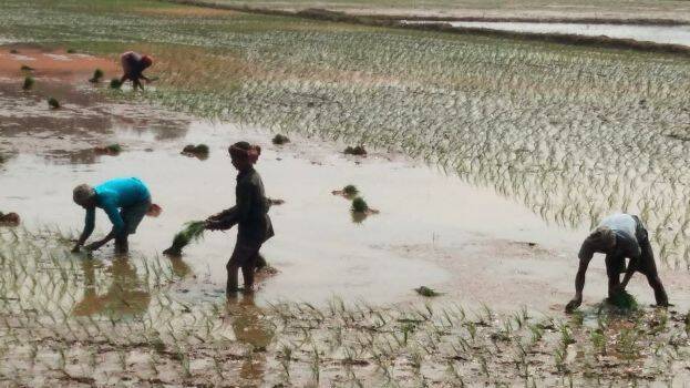 20-karingalipadam 20-karingalipadam