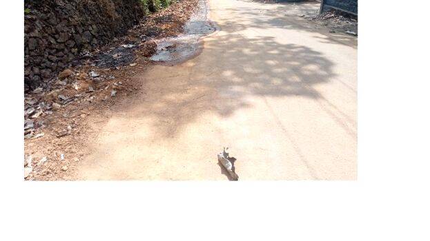 01-puttathani-road 01-puttathani-road