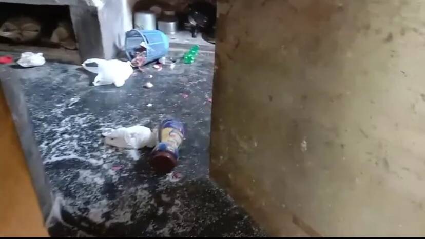 monkey-attack monkey-attack