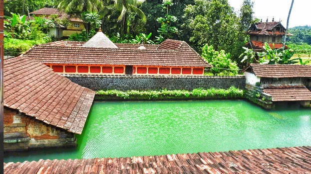 pond