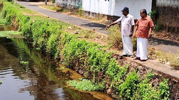 vethuchira vethuchira