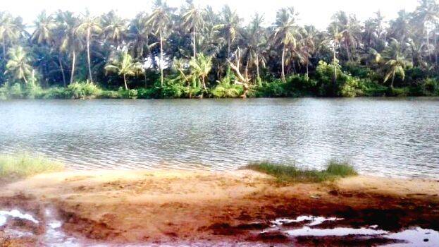 kacherikadav kacherikadav