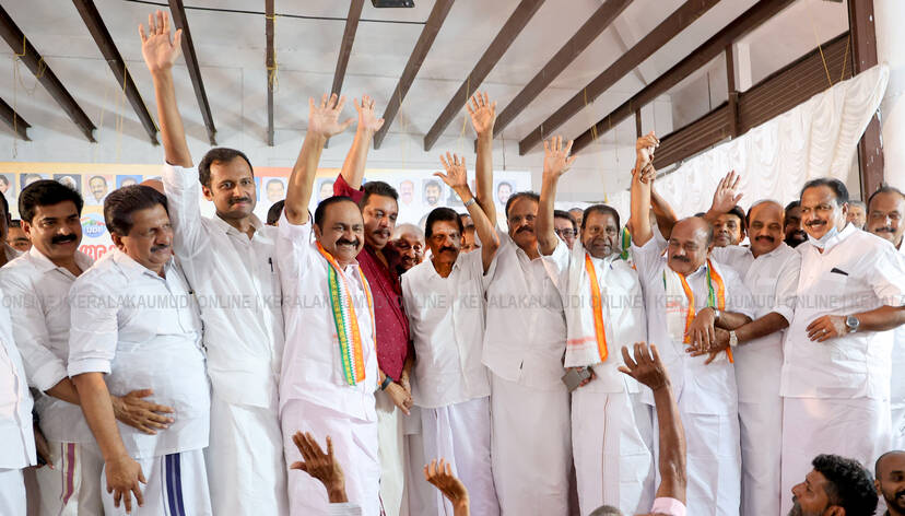 udf-francis udf-francis