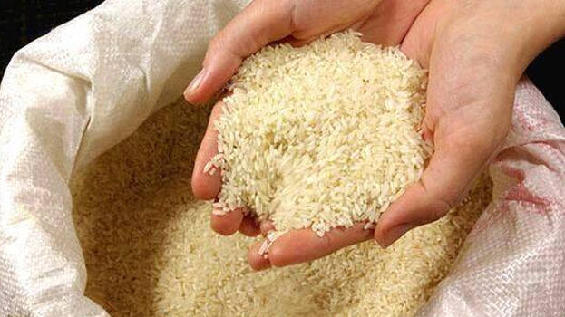 rice rice
