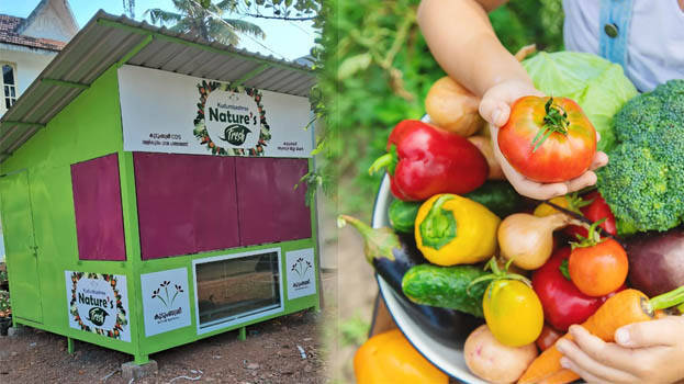 vegetables vegetables