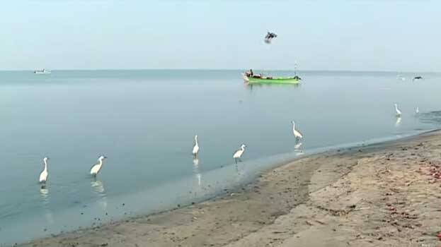 purakad-coast purakad-coast