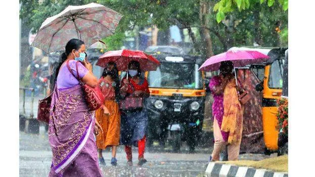 rain