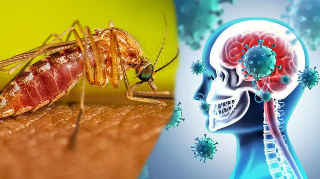 disease