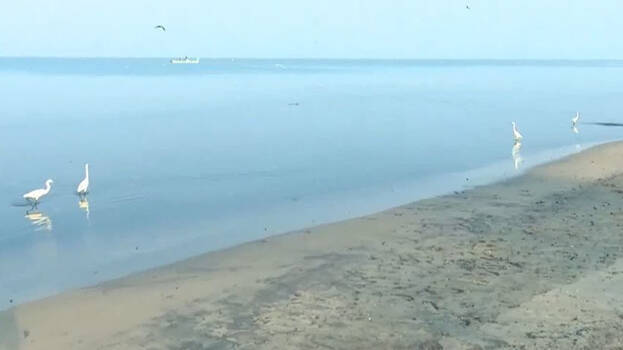 purakkad-sea purakkad-sea