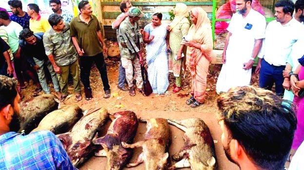 chalisseri chalisseri