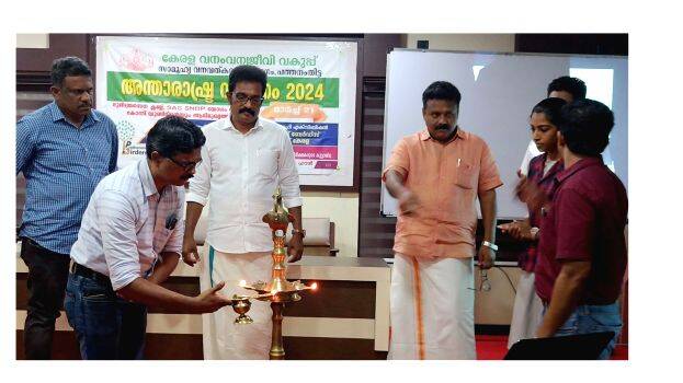 23-forest-day1 23-forest-day1