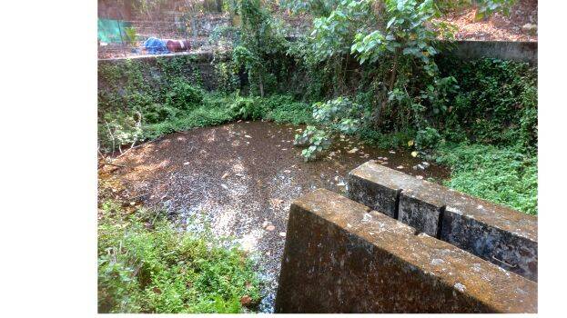 chenkileri chenkileri