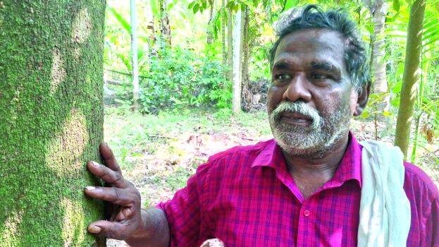 koodapuzha koodapuzha