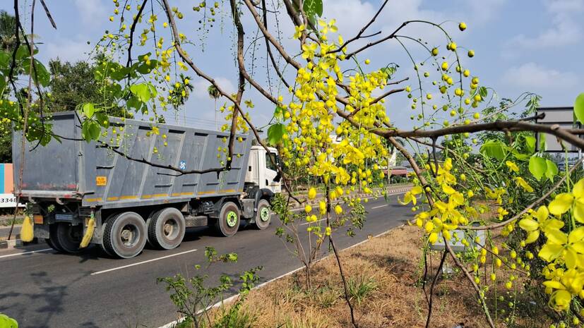 kanikkonna kanikkonna