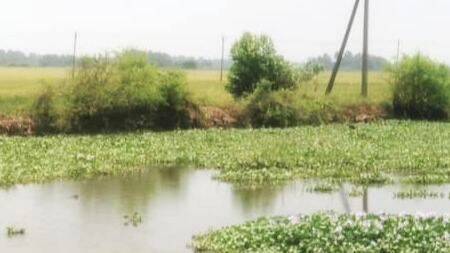 chennithala-uncha chennithala-uncha