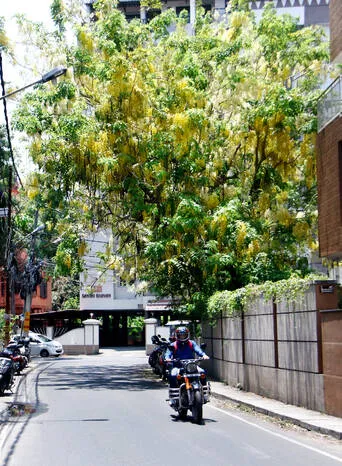 Kerala Kaumudi Photo Gallery
