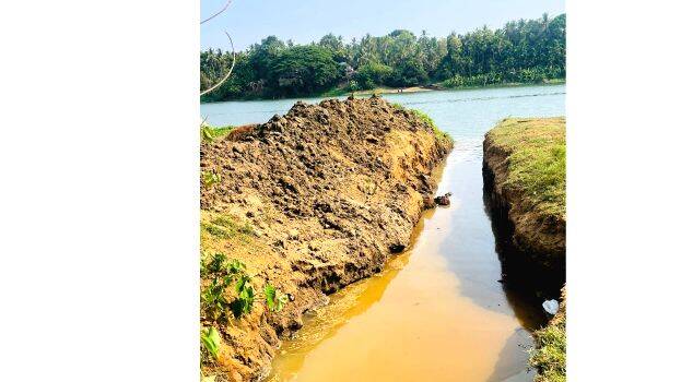 img20240429 img20240429