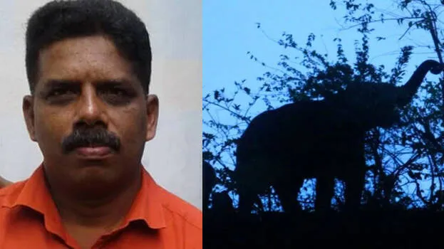 biju