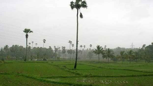 palakkad palakkad