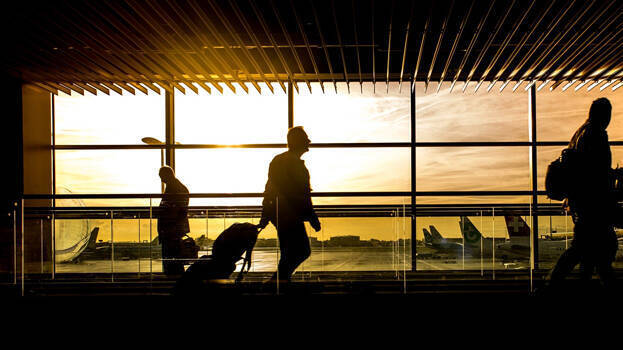 tropical-trips tropical-trips