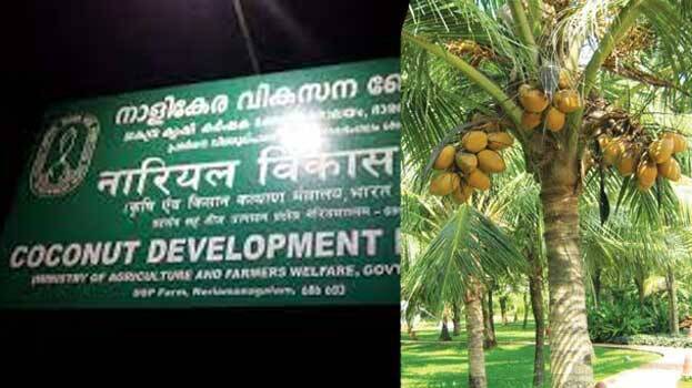 coconut-development-board