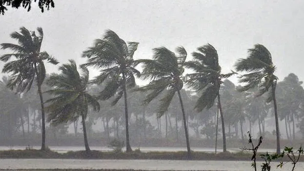 climate
