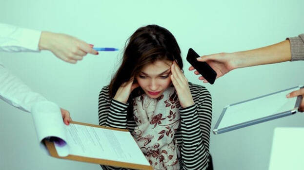 -stone-pet -stone-pet