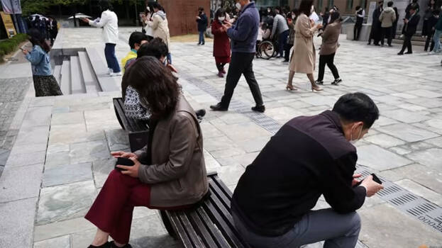 -stone-pet -stone-pet