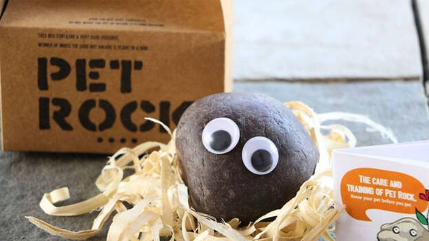 -stone-pet -stone-pet