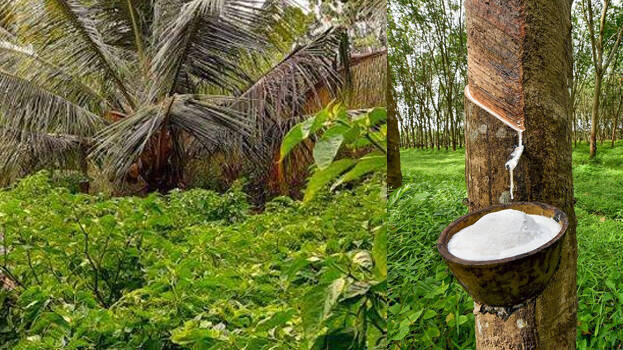 agriculture agriculture