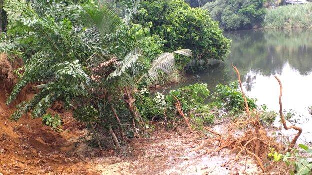 manimalayar manimalayar