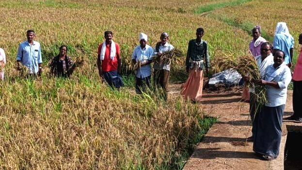 30-chittkilapadam 30-chittkilapadam