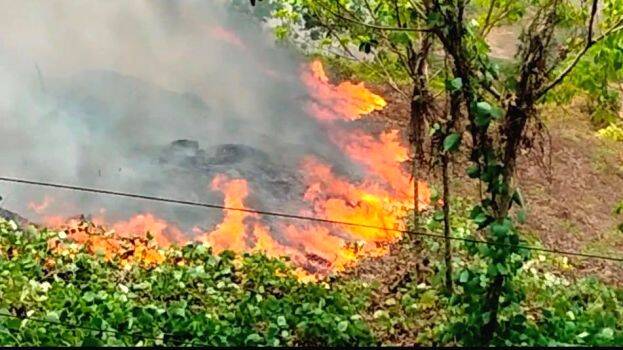 kadukatunu kadukatunu