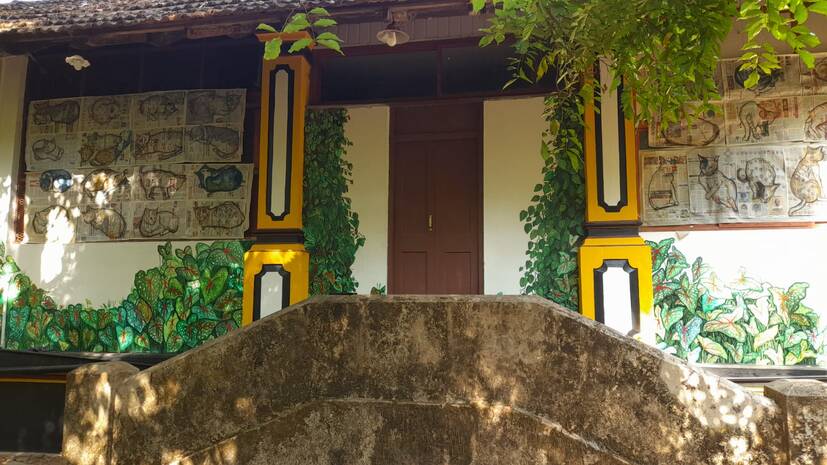 chayappetti chayappetti