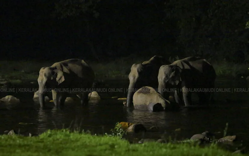 Kerala Kaumudi Photo Gallery
